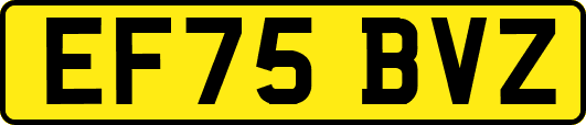 EF75BVZ