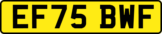 EF75BWF