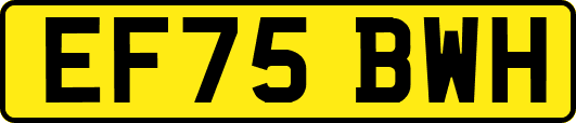 EF75BWH