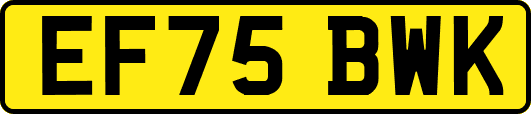EF75BWK