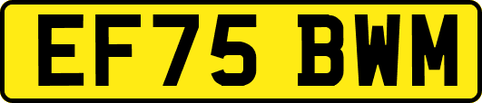 EF75BWM