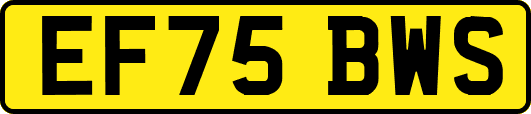 EF75BWS