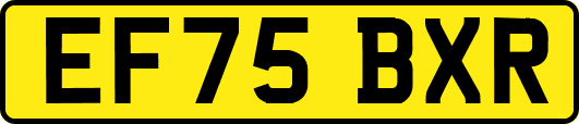 EF75BXR