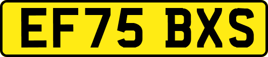 EF75BXS