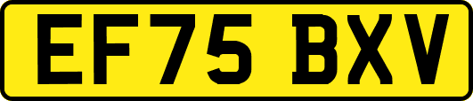 EF75BXV
