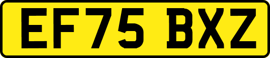 EF75BXZ