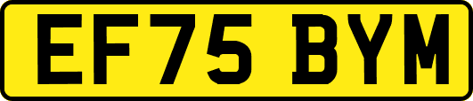 EF75BYM