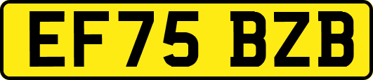 EF75BZB