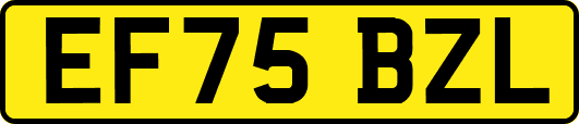 EF75BZL
