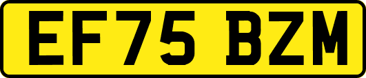 EF75BZM