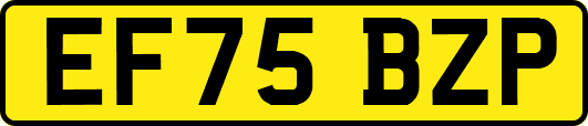 EF75BZP