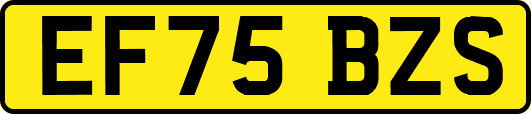 EF75BZS