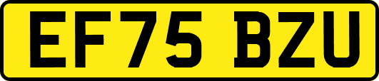 EF75BZU