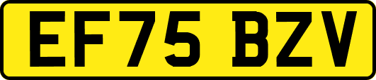 EF75BZV