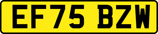 EF75BZW