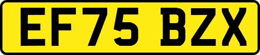 EF75BZX
