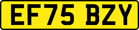 EF75BZY