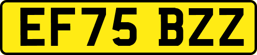 EF75BZZ