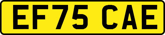 EF75CAE