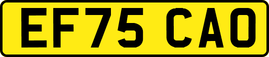 EF75CAO
