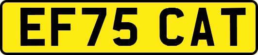 EF75CAT