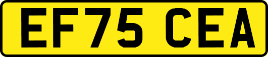 EF75CEA