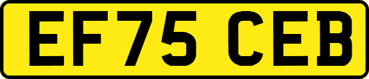 EF75CEB