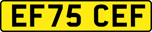 EF75CEF