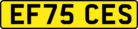 EF75CES