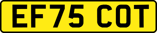 EF75COT