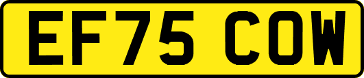 EF75COW