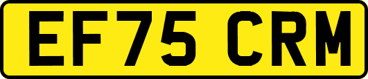 EF75CRM