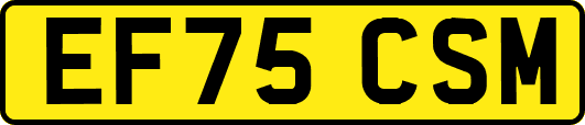 EF75CSM