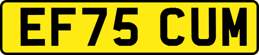 EF75CUM