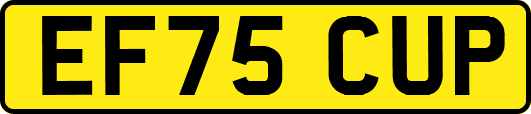 EF75CUP