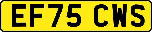 EF75CWS
