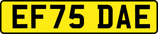 EF75DAE
