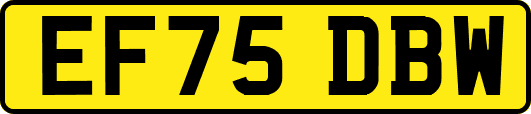 EF75DBW