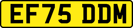 EF75DDM