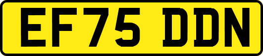 EF75DDN