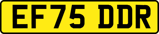 EF75DDR