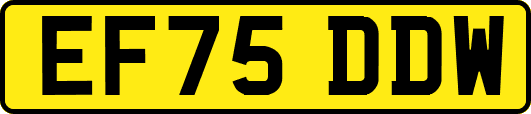 EF75DDW