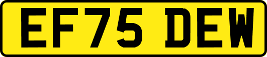 EF75DEW