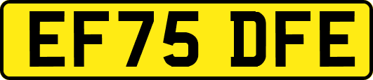 EF75DFE