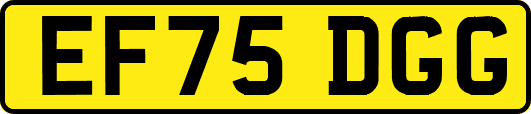 EF75DGG
