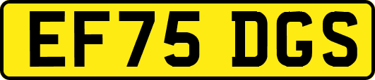 EF75DGS