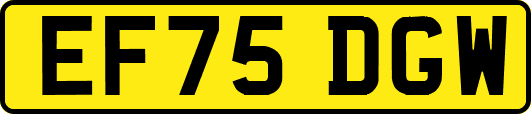 EF75DGW