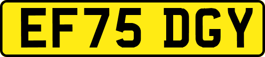 EF75DGY