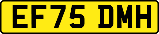 EF75DMH