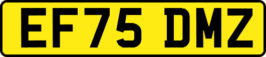 EF75DMZ